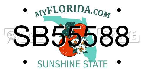 SB55588 Florida License Plate