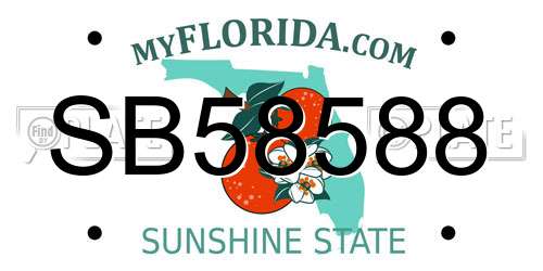 SB58588 Florida License Plate