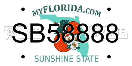 SB58888 Florida License Plate