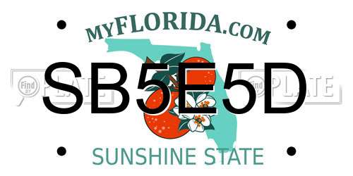 SB5E5D Florida License Plate