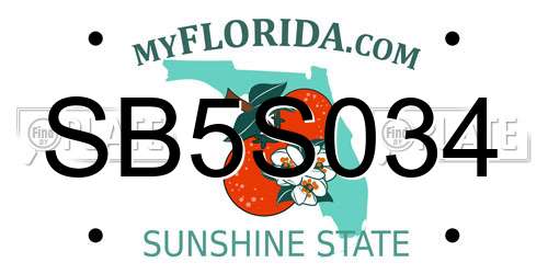 SB5S034 Florida License Plate
