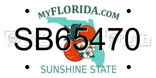 SB65470 Florida License Plate