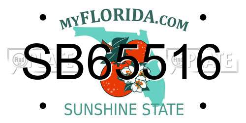 SB65516 Florida License Plate