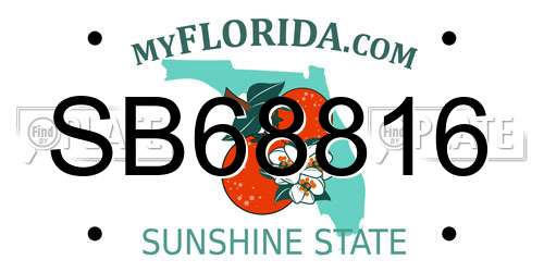 SB68816 Florida License Plate