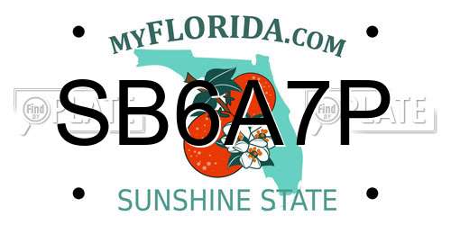 SB6A7P Florida License Plate