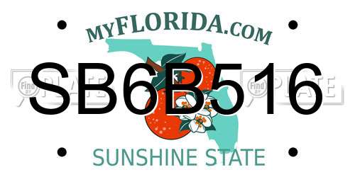 SB6B516 Florida License Plate