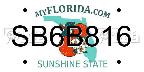 SB6B816 Florida License Plate