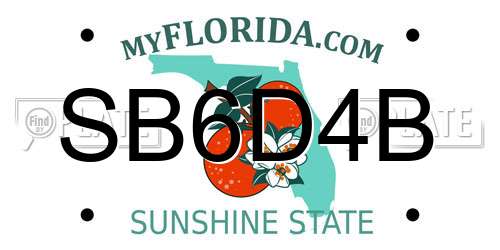 SB6D4B Florida License Plate