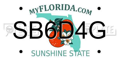 SB6D4G Florida License Plate