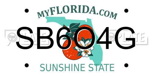SB6O4G Florida License Plate