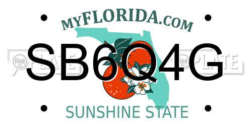 SB6Q4G Florida License Plate