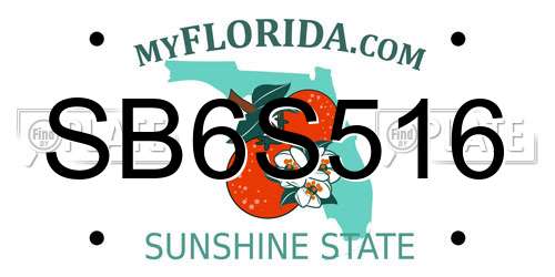 SB6S516 Florida License Plate
