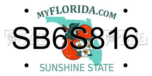 SB6S816 Florida License Plate