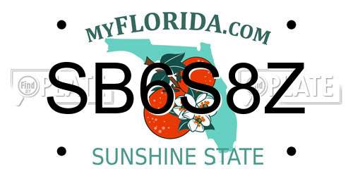 SB6S8Z Florida License Plate
