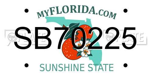 SB70225 Florida License Plate