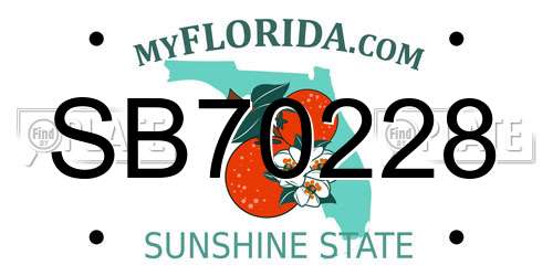 SB70228 Florida License Plate