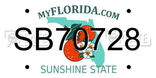 SB70728 Florida License Plate