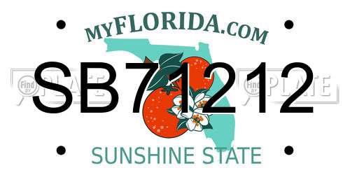 SB71212 Florida License Plate