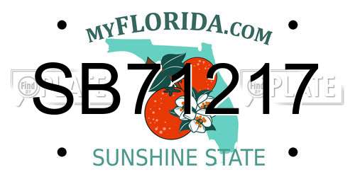 SB71217 Florida License Plate