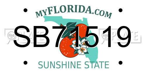 SB71519 Florida License Plate