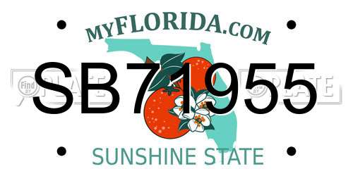 SB71955 Florida License Plate