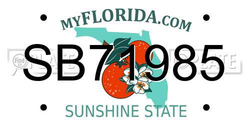 SB71985 Florida License Plate