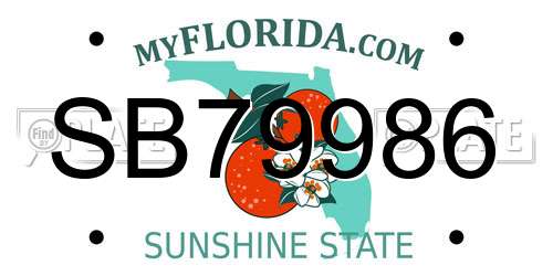 SB79986 Florida License Plate