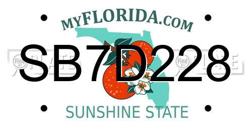 SB7D228 Florida License Plate