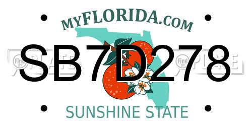 SB7D278 Florida License Plate