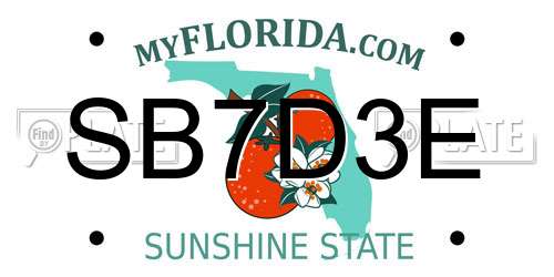 SB7D3E Florida License Plate