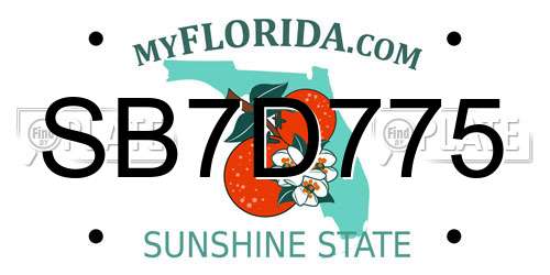 SB7D775 Florida License Plate