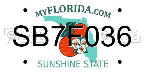 SB7F036 Florida License Plate