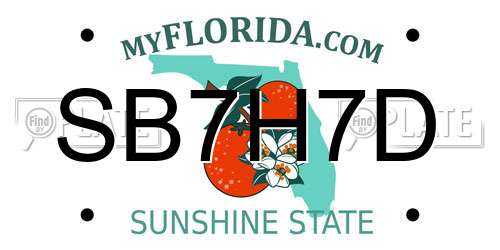SB7H7D Florida License Plate
