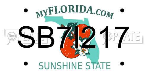 SB7I217 Florida License Plate