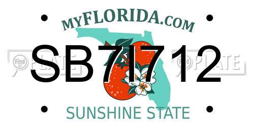 SB7I712 Florida License Plate