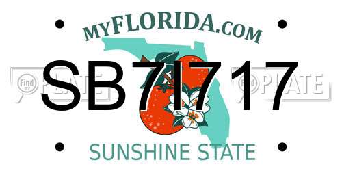 SB7I717 Florida License Plate