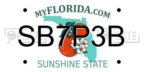 SB7P3B Florida License Plate