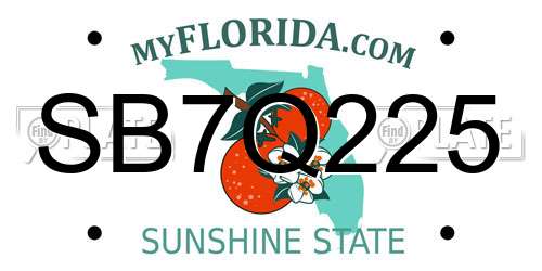 SB7Q225 Florida License Plate