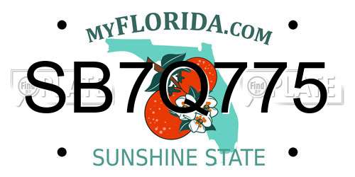 SB7Q775 Florida License Plate