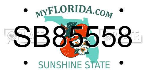 SB85558 Florida License Plate