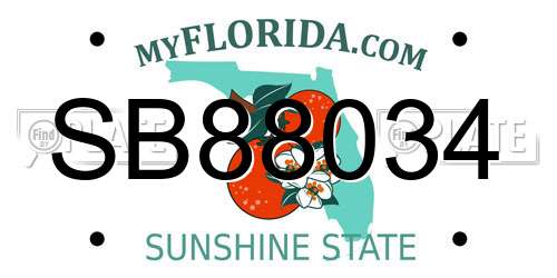 SB88034 Florida License Plate