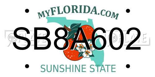 SB8A602 Florida License Plate