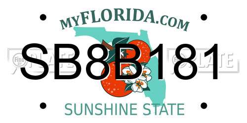 SB8B181 Florida License Plate