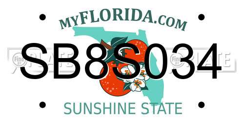 SB8S034 Florida License Plate