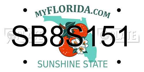 SB8S151 Florida License Plate