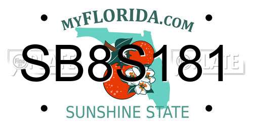 SB8S181 Florida License Plate