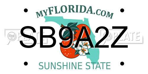 SB9A2Z Florida License Plate