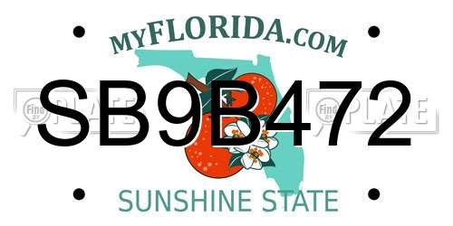 SB9B472 Florida License Plate