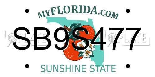 SB9S477 Florida License Plate