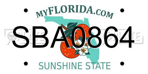 SBA0864 Florida License Plate